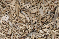 biomass boilers Skeyton