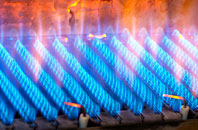 Skeyton gas fired boilers